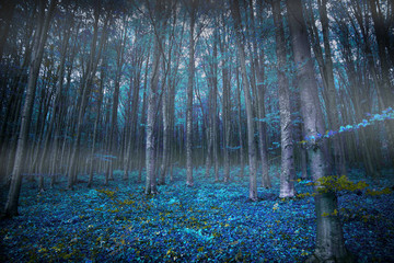 Gloomy surreal woods with lights and blue vegetation, magic fair