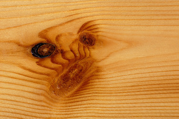 Texture di legno