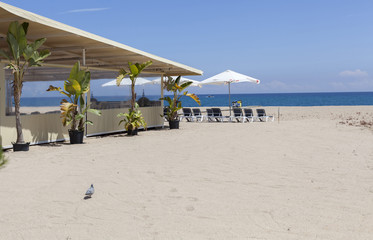 Mediterranean beach of Arenys de Mar, terrace bar umbrella and sunbeds, Maresme, province Barcelona, Catalonia.