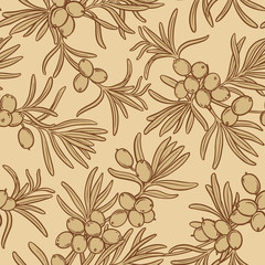 sea buckthorn vector pattern