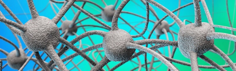 Neural network, ganglia,