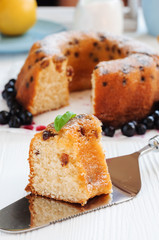 Piece of cake with raisins close-up