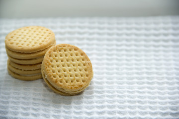Biscuit