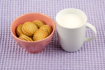 Biscuits and Cup Of Milk 