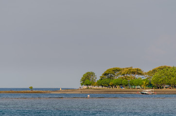 kueste am meer mit baeume