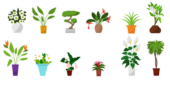 House plants and flowers in pots. Flat style vector illustration.