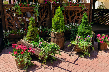 Fototapeta na wymiar House plants in wooden box at street market outdoors