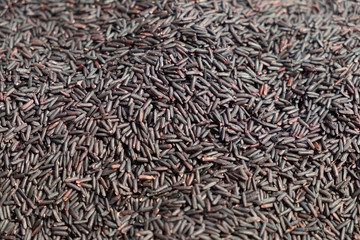 organic riceberry grain