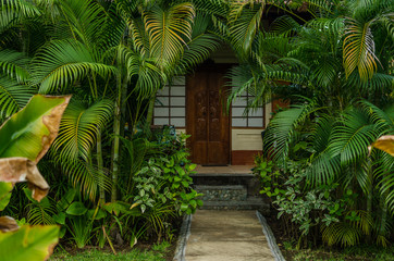 Fototapeta na wymiar bungalow und viele palmen
