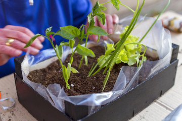 Home gardening