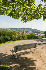 Obraz premium Winterthur, Stadt, Altstadt, Rosengarten, Spazierweg, Altstadthäuser, Park, Aussichtspunkt, Stadtkirche, Kirche, Sommer, Schweiz