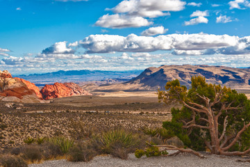 Desert landscape in  Nevada, USA.