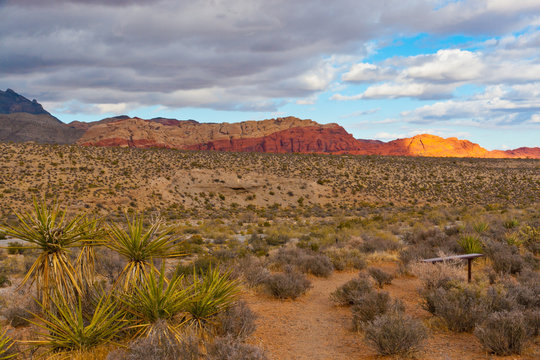 Desert landscape in  Nevada, USA.