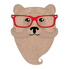 Cute brown bear portrait with french mustache, beard, glasses. H