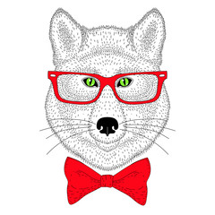 Cute wolf portrait, face with bow tie, glasses. Hand drawn anthr