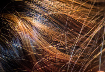 long brown hair as background