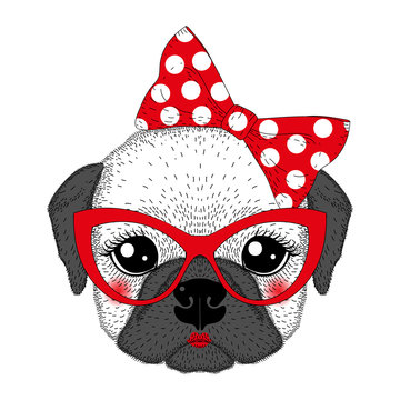 Cute french bulldog girl portrait with pin up bow tie on head, k