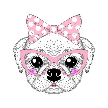 Cute pug portrait with pin up bow tie on head, kat eyes glasses.