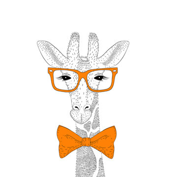 Vector cute giraffe face with glasses, bow tie. Fashion hand dra