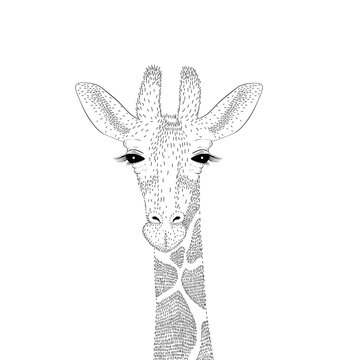 Vector cute giraffe portrait. Fashion hand drawn animal illustra