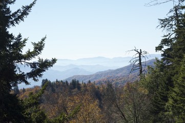 Smoky Mountain Morning