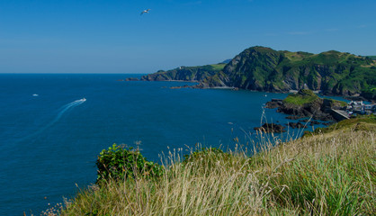 Obraz premium North Devon coasr