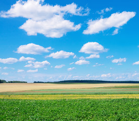 Rural scenic landscape with  blue sky with clouds.