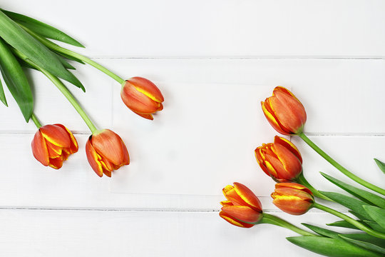 Tulips and Blank Card