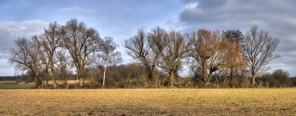 Wäldchen