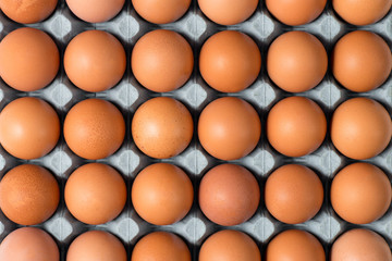 Overhead Closeup of Chicken Eggs in Tray for Backgrounds