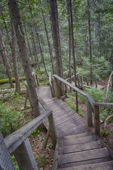 Wooden stairway on Park Aiguebelle, Quebec, Abitibi