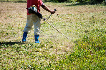 Worker cutting grass using electric lawn mowers.