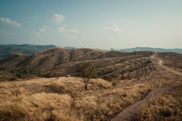 Mountain agriculture in Nan Province,Thailand