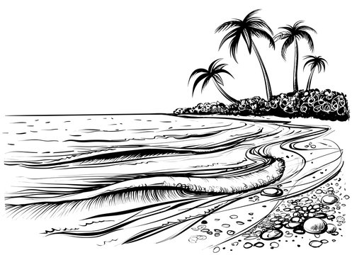 Ocean or sea beach with palms and waves, sketch. Black and white vector illustration.