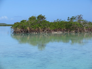 colombus island