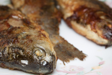 fried fish on plate