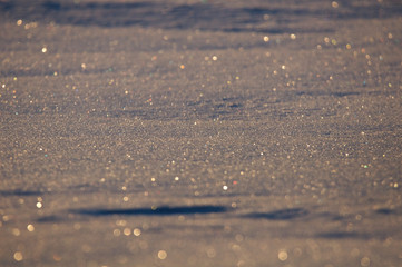 Pearls in the Snow