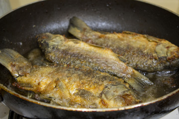 fish fried on pan