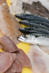 Assorted fresh fish including mackerel, tuna chunks and brill on a slab in a street market – vertical orientation.