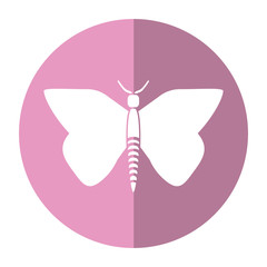 women day butterfly icon shadow vector illustration eps 10