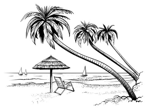 Ocean or sea beach with palms, umbrella, chaise longue and yachts. Hand drawn seaside view.