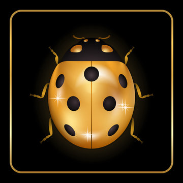 Ladybug gold insect small icon. Golden lady bug animal sign, isolated on black background. 3d volume design. Cute jewelry ladybird design. Lady bird closeup beetle. Vector illustration
