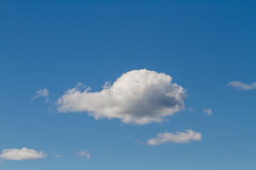 Fototapeta premium White fluffy clouds in a blue sky