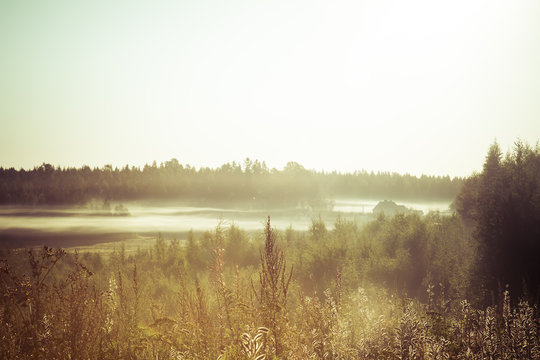 Foggy sunny morning © Eetu