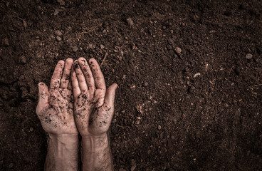 Man hands on soil background captured from above.