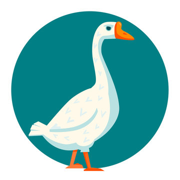 White goose funny vector illustration cartoon style