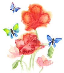 Watercolor red poppies and butterfly. Floral hand painted illustration on white.