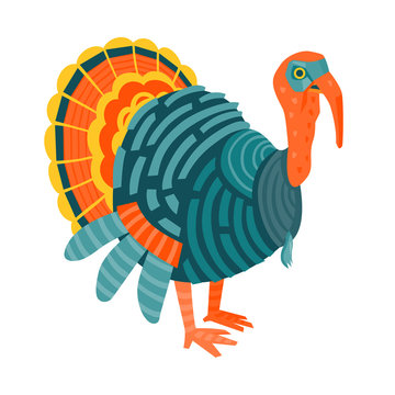 Colorful Turkey funny vector illustration cartoon style