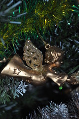 Angel on the tree