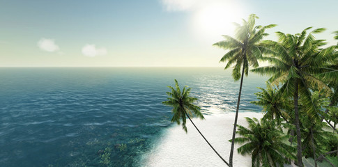 Fototapeta premium sea, tropical island, palm , sun